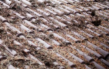 Keston Mark roof cleaning companies